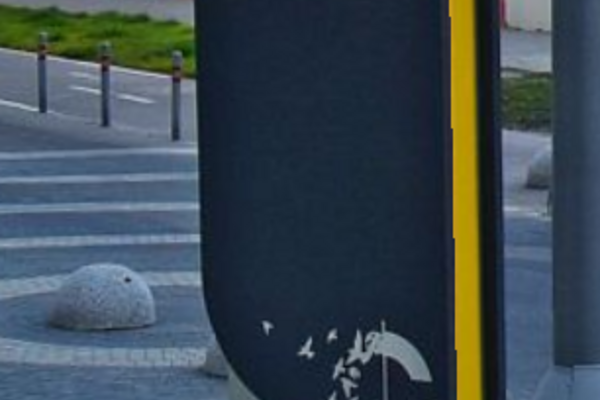 Фото - 6